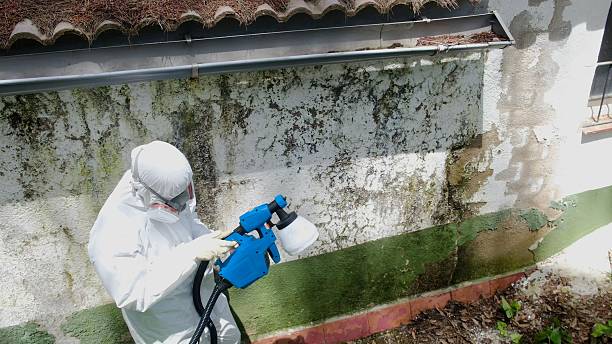 Top rated local Attic Mold Remediation specialists in Mount Holly Springs, PA
